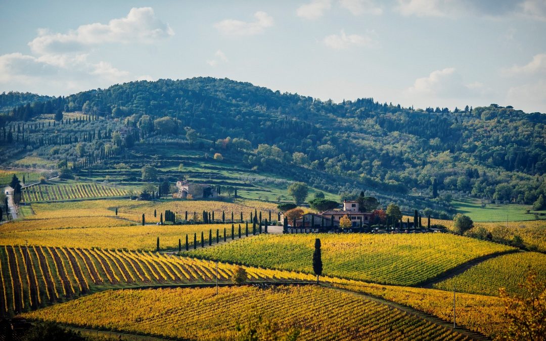 Viticcio ‘Ferraio’ Toscana 2016