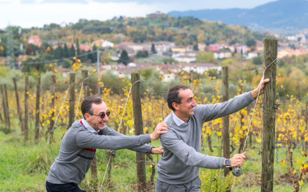 Il Monticello ‘Rupestro’ Rosso Colli di Luni 2019