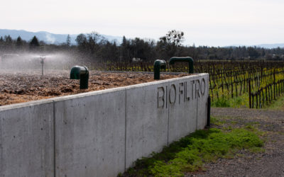 Of Worms and Wine: Frey Vineyards’ Innovative Water Reuse System