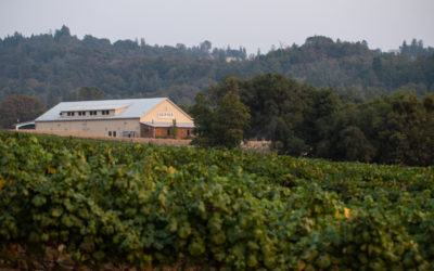 Skinner Vineyards & Winery Grenache 2019