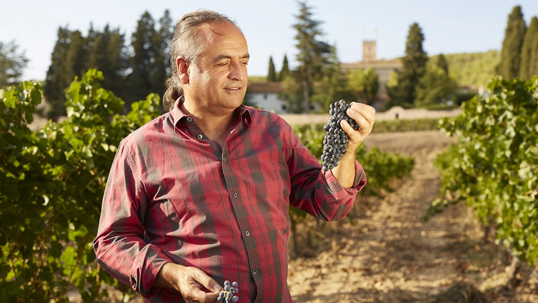 Winemaker Josep Maria stands in his vineyard holding a cluster of organic grapes.