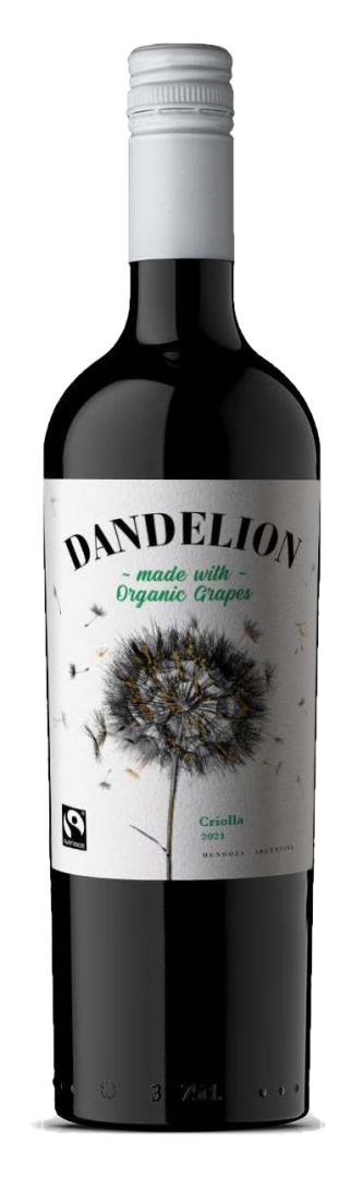 Dandelion - Criolla