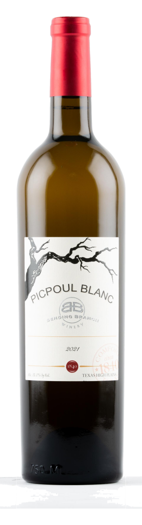 Bending Branch - Picpoul Blanc