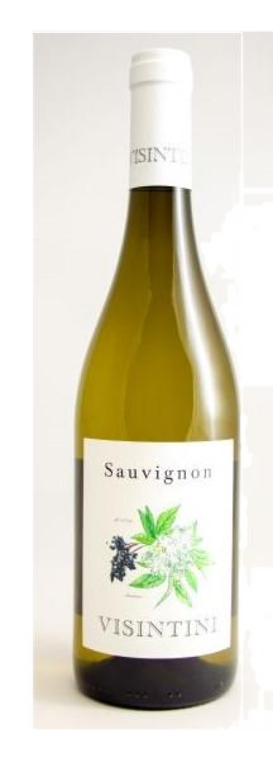 Visintini - Sauvignon Blanc