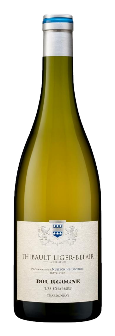 Domaine Thibault Liger Belair - Bourgogne Blanc Chardonnay Les Charmes